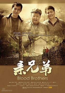 亲兄弟封面图