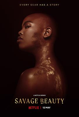 美丽破坏者封面图