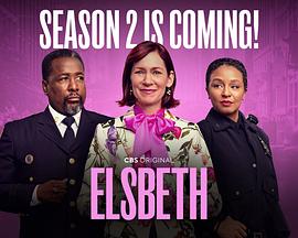 奇思妙探 第二季封面图