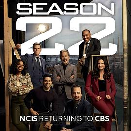 海军罪案调查处 第二十二季封面图