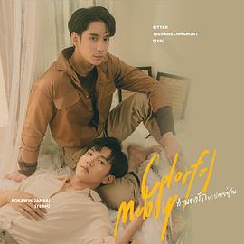 多彩的旋律封面图