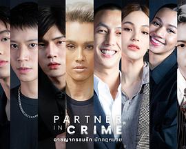 犯罪合伙人封面图