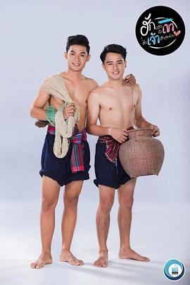 我最终的爱封面图