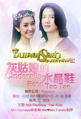 灰姑娘的水晶鞋封面图