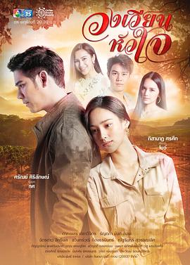 旋转的爱封面图