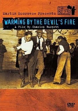 在恶魔的火旁取暖封面图