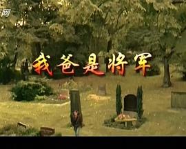 我爸爸是将军封面图