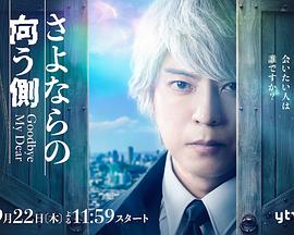 再见的对面封面图