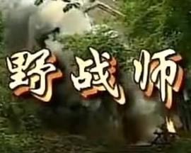 野战师封面图