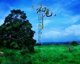 初见：子非鱼封面图