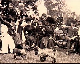 狗的起源与演化封面图