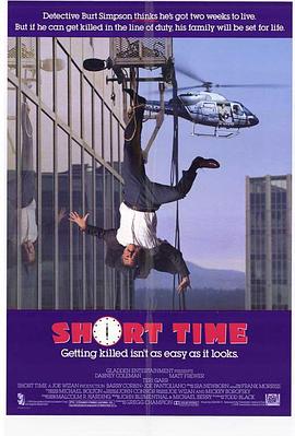 猛警恶匪封面图