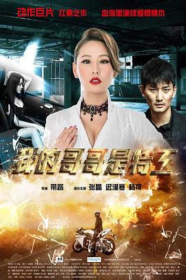 我的哥哥是特工封面图