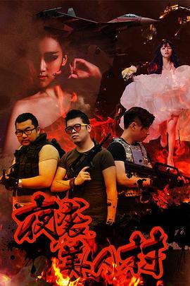 夜袭寡妇村封面图