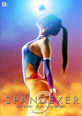 SPANDEXER 6 ～消された記憶！封面图
