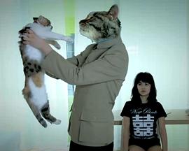 有猫的房间封面图