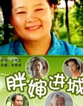 胖婶进城封面图