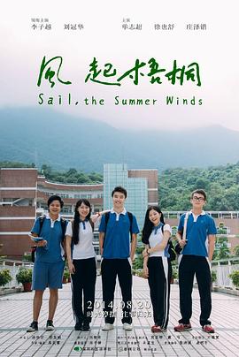 风起梧桐封面图