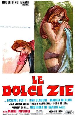 三个姑妈一个侄封面图