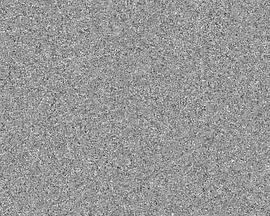 兔别行动组封面图