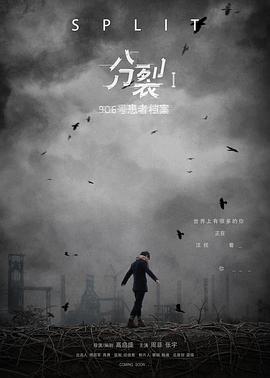 分裂1：906号患者档案封面图