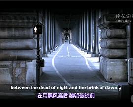 巴黎情事封面图