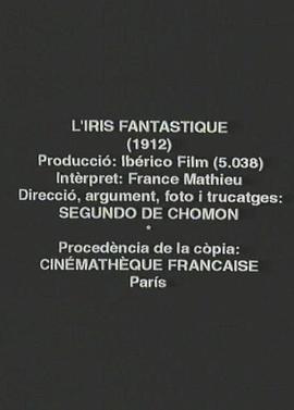 梦幻的鸢尾花封面图