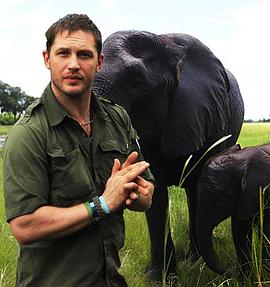 反盗猎战争封面图