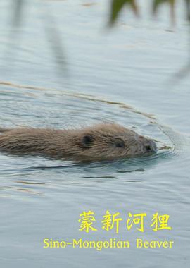 蒙新河狸封面图