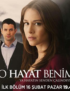 我的人生 第一季封面图