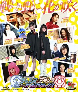 假面骑士贞德 &amp; 假面骑士阿基蕾拉with Girls Remix封面图