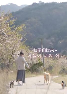 具惠善的宠物日记封面图