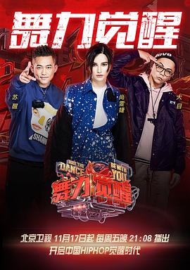 舞力觉醒封面图