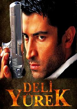 烈火雄心封面图