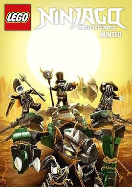 乐高忍者：旋风术大师 第九季封面图