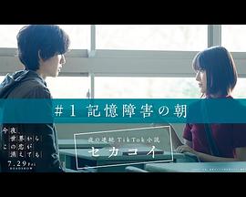 夜の連続TikTok小説 セカコイ封面图