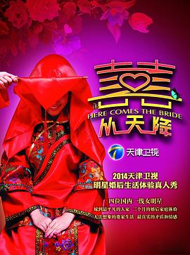 囍从天降封面图