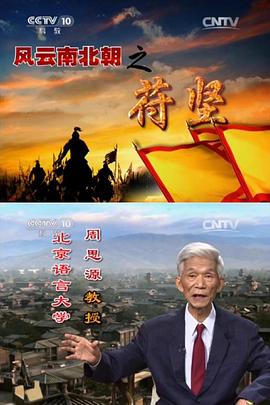 百家讲坛：风云南北朝之苻坚封面图
