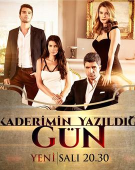 命运所安排的日子 第一季封面图