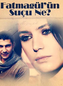 法蒂玛古丽有何罪 第二季封面图