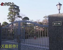 奇怪律师2封面图