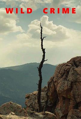 狂野罪行封面图