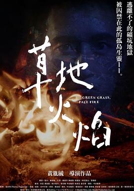 草地火焰封面图