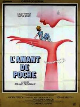 口袋情人封面图