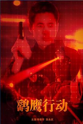 鹞鹰行动封面图