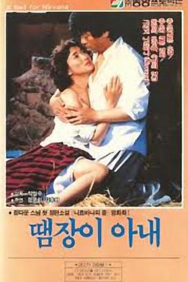 小炉匠的妻子封面图