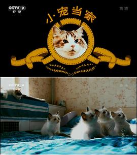 小宠当家封面图