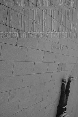 2022年北京部分地区部分青年生活状况观察报告 b-side封面图