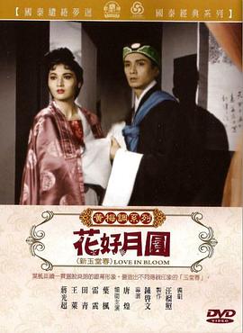 花好月圆封面图