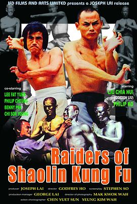 少林真英雄封面图